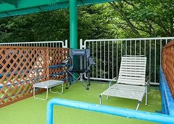 グリーンシート